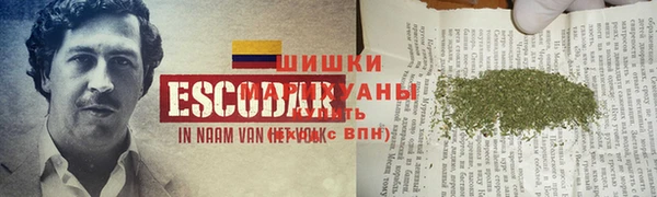 мдпв Мегион