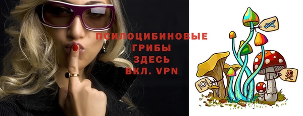 молекула духа Медногорск