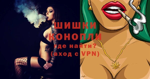 молекула духа Медногорск