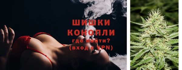 мдпв Мегион
