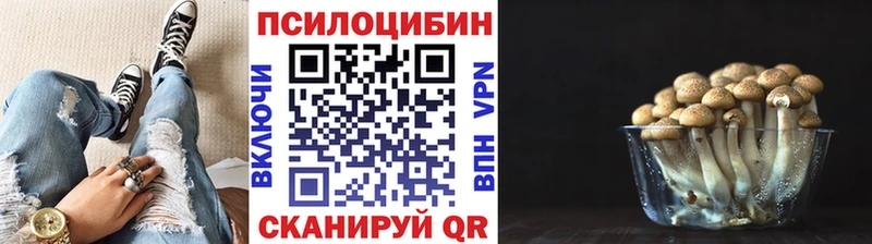 где купить наркоту  Называевск  Псилоцибиновые грибы Magic Shrooms 
